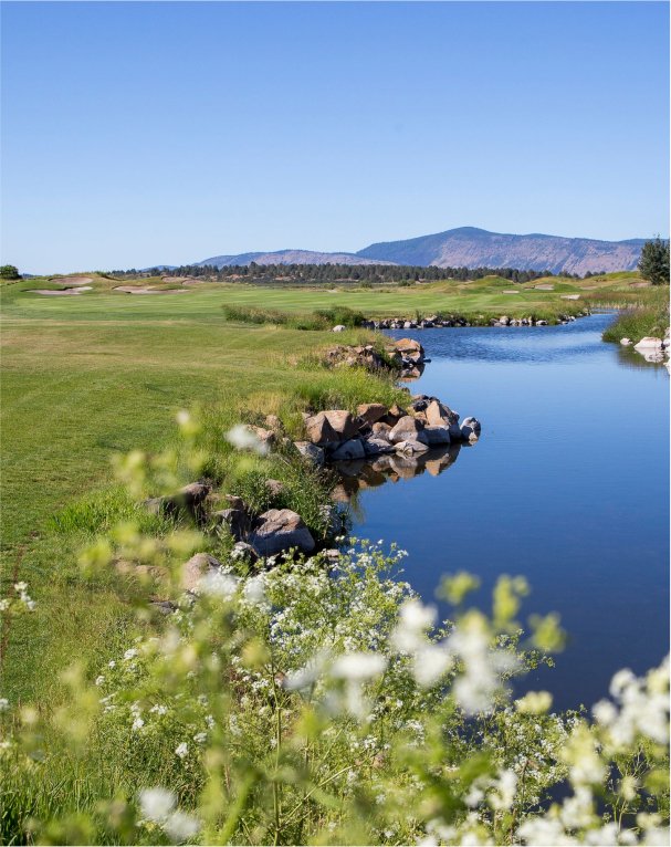 A scenic view of green grass and water next to it.