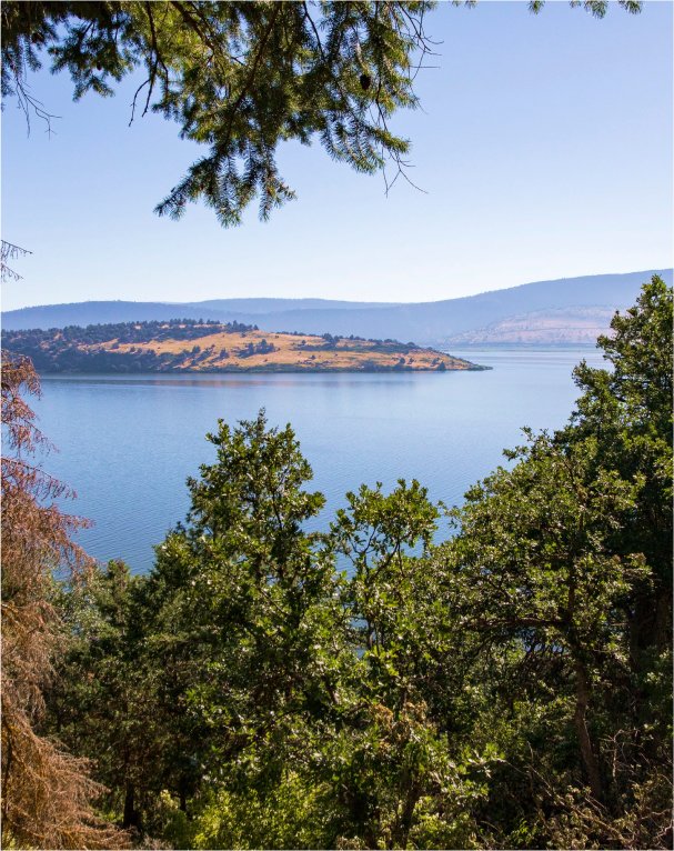 A view of an island in the distance with green trees in the foreground.