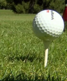 A close-up of a golf ball on a golf tee in the grass.