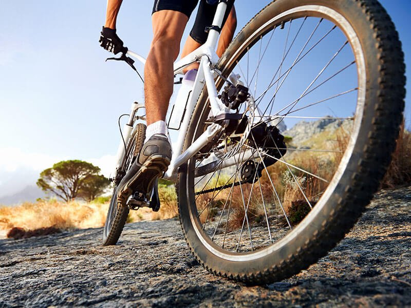 A low angle shot from the rear of a mountain bike in motion.