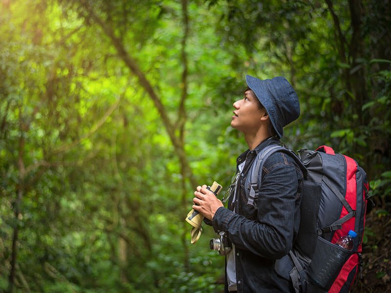 A man holding binoculars looking towards the sky, standing in a forested area and wearing a bucket hat and a large backpack.
