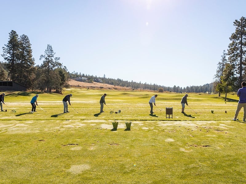 a group of golfers teeing up in a line on a lush golf course, with clear skies and trees in the background.
