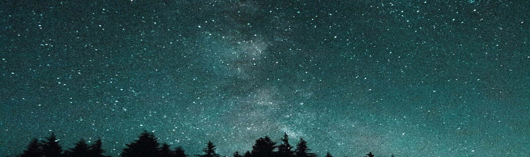 A night time long exposure photo of the galaxy and stars in the sky with treetops visible in the foreground.