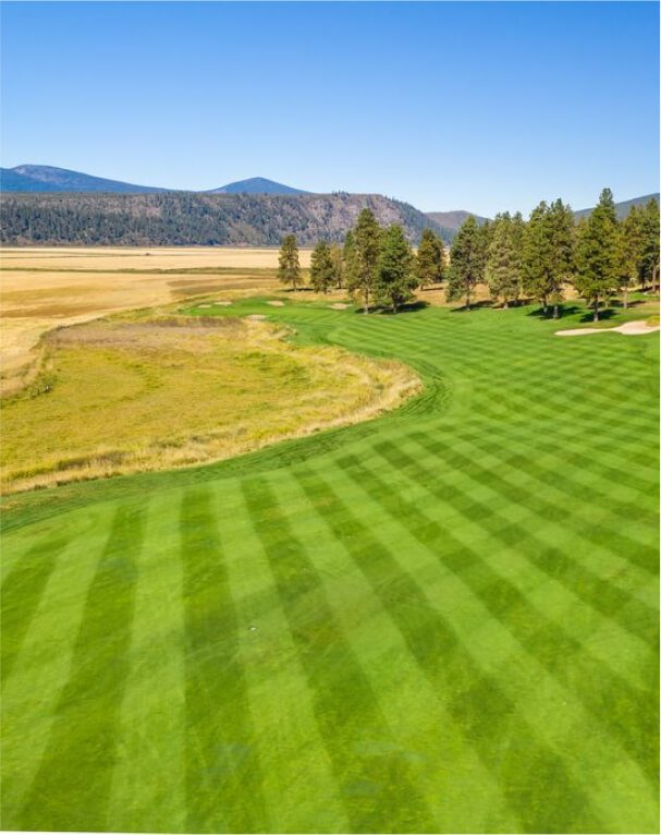 Aerial view of a golf course fairway.