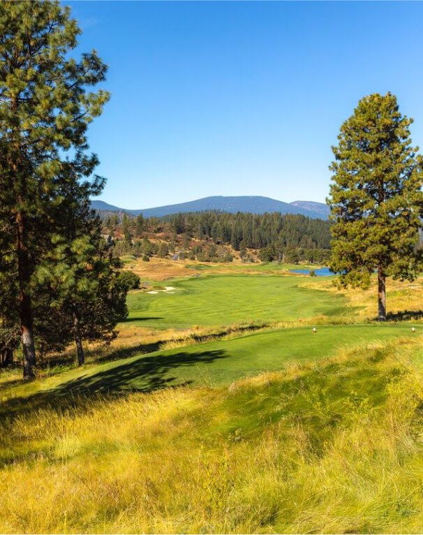 A view of a golf course fairway between two trees.