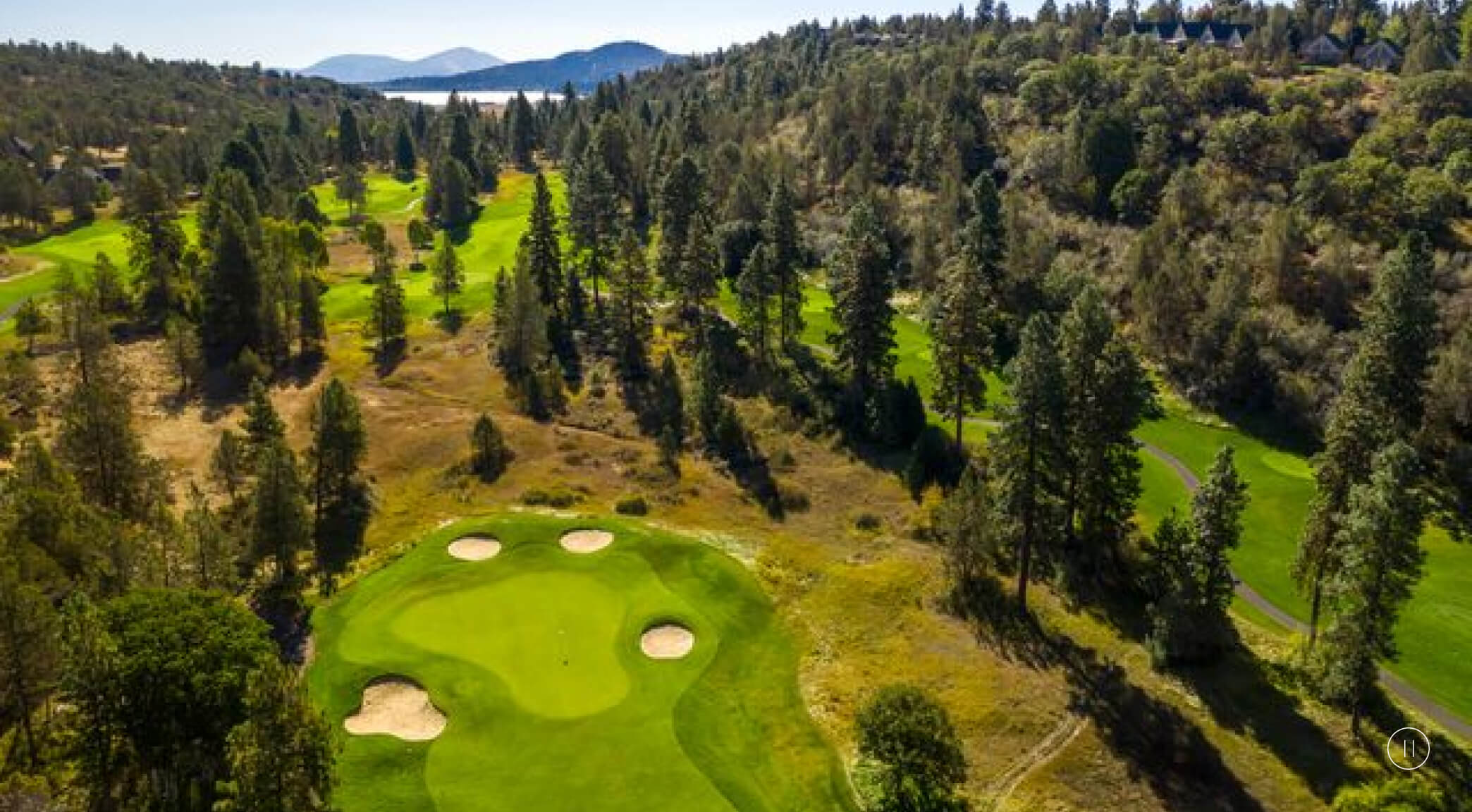 Aerial view of the putting green with many trees surrounding the area.