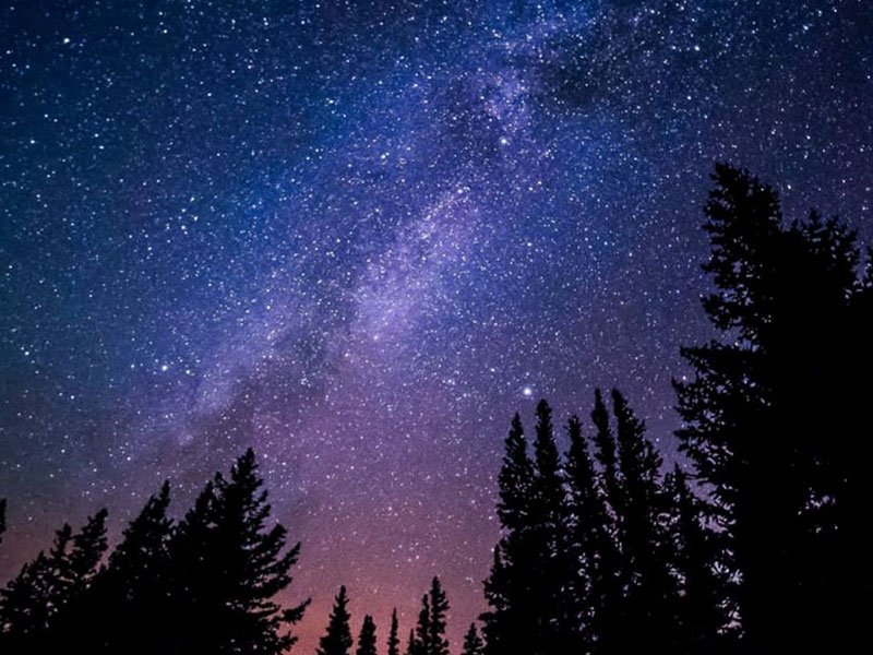 A night time long exposure photo of the galaxy and stars in the sky with treetops visible in the foreground.