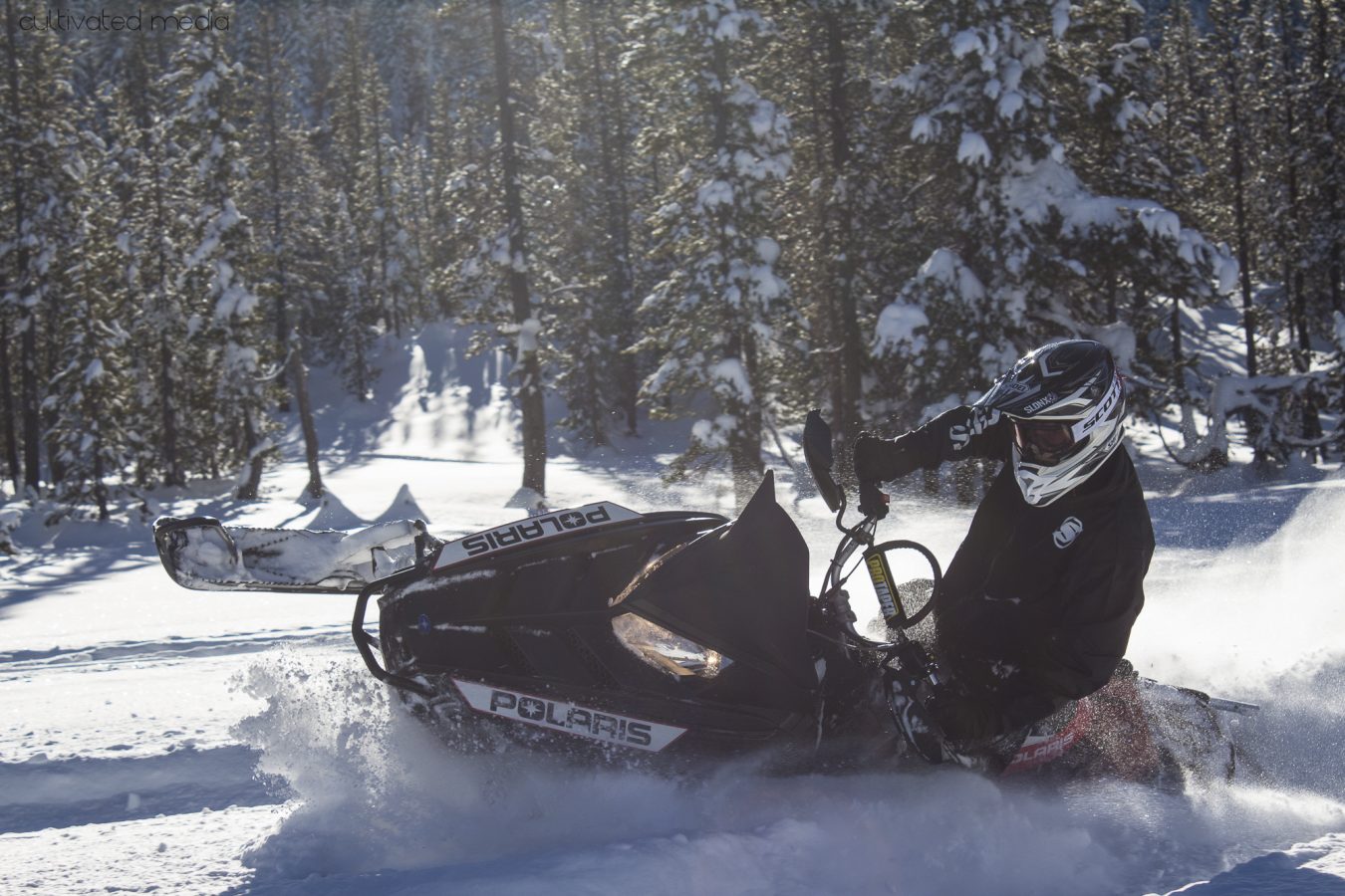 Snowmobile in the woods