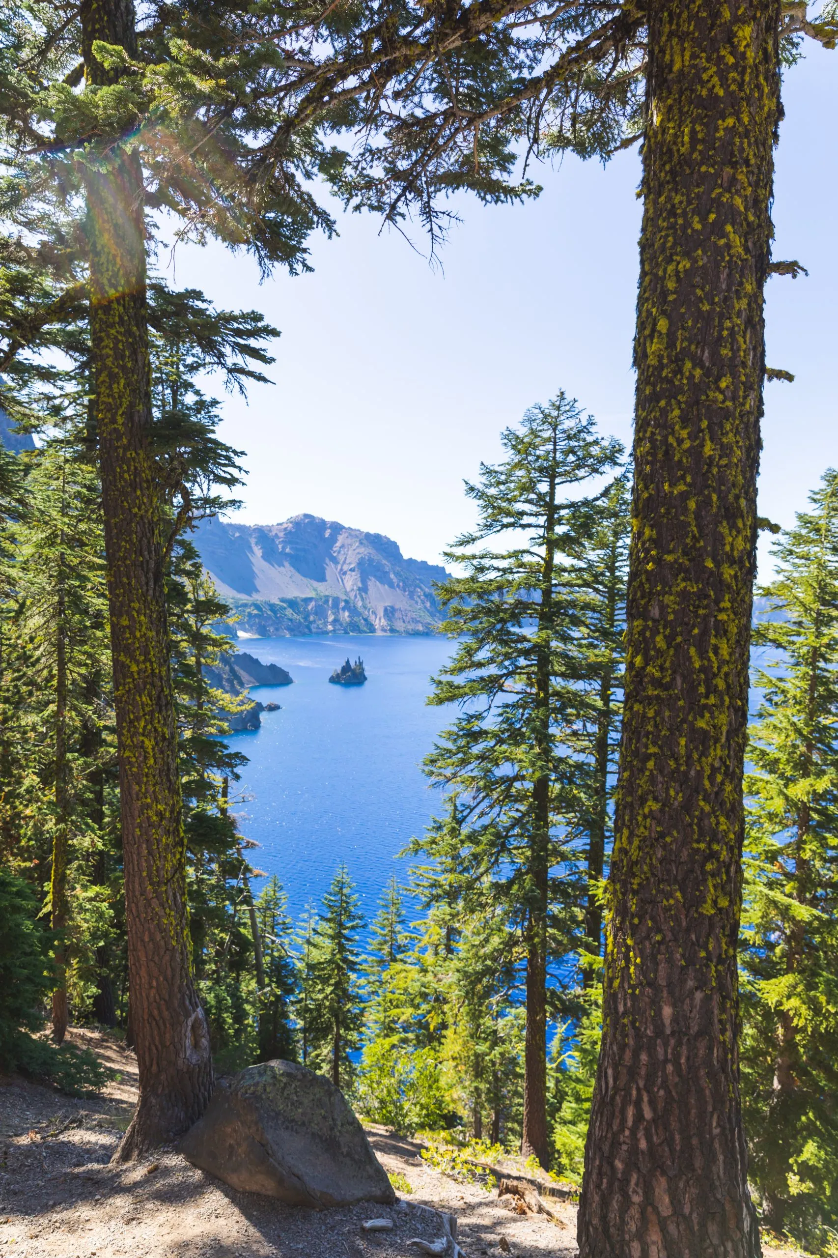 A view of Crater Lake through the trees, mountains in the background, during the summer.
