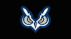 Oregon TECH Owl