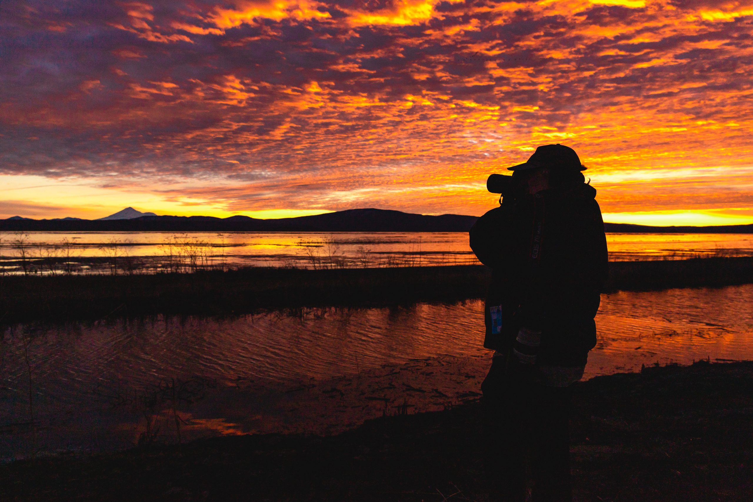 photographer capturing the colors and birds of winter wings